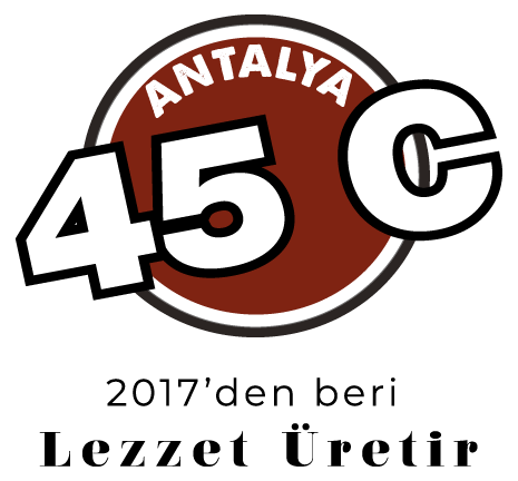 45C Tost Logo